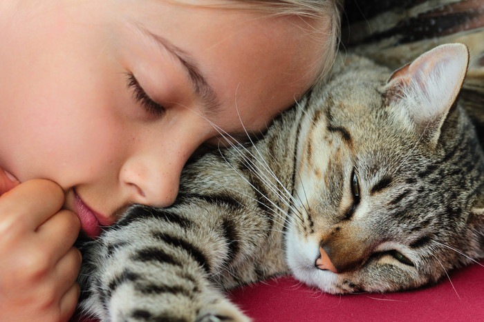 愛猫の死。飼い主にできること【火葬と埋葬のメリットデメリット】