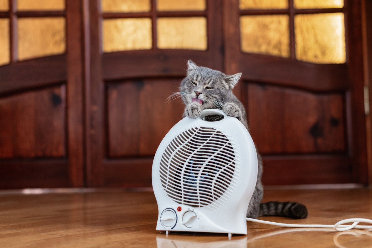 猫を危険な目に遭わせかねない『家電』4つ　トラブルの可能性や事故の予防策まで