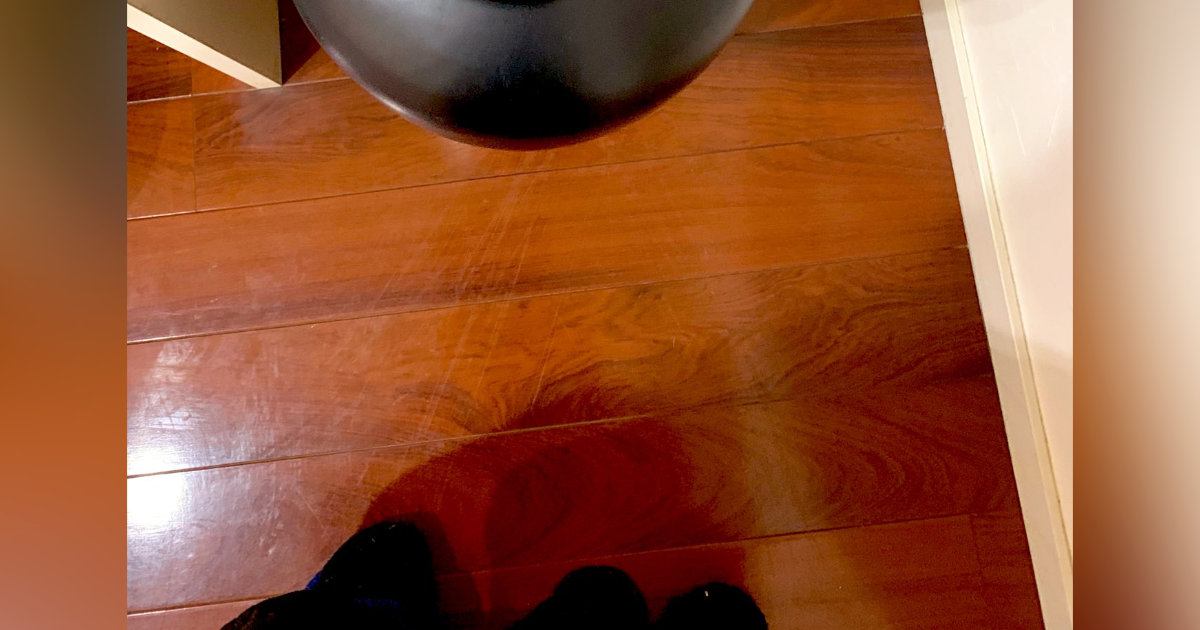 母から『何時間探しても猫がいない』と連絡がきて…数分後→『予想外の場所』で発見された様子に「ほんとに忍者」「かくれんぼ得意だよね」