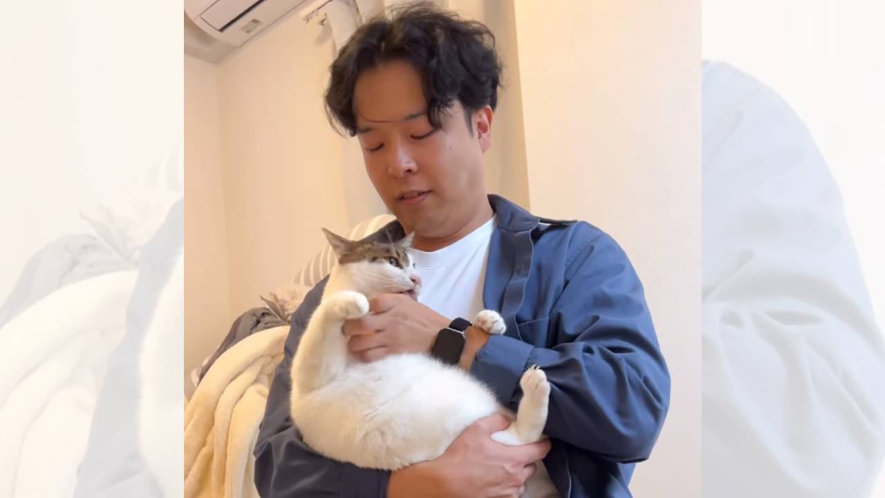 パパのことが好きすぎる猫→抱っこから降ろされたときの『まさかの行動』が86万再生「中々ない好かれ方ｗ」「可愛すぎて癒やされた」