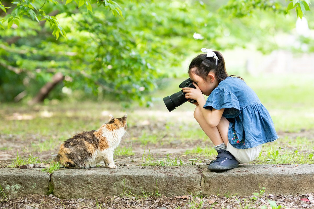 猫が『カメラを向けると顔を背ける』のはなぜ？カメラを嫌がるつの理由と、無理のない撮影方法