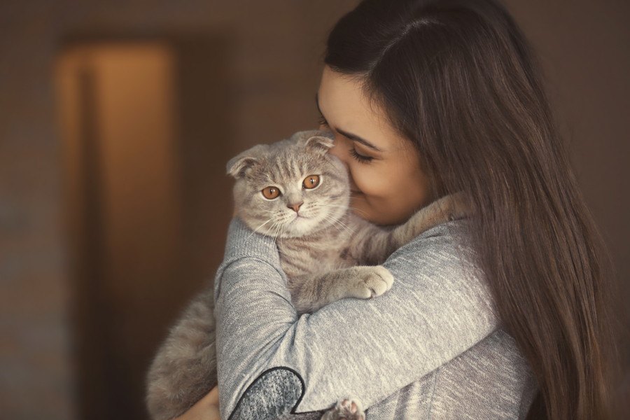 可愛くてつい…。猫の飼い主がやりがちなNGな甘やかし行為8つ