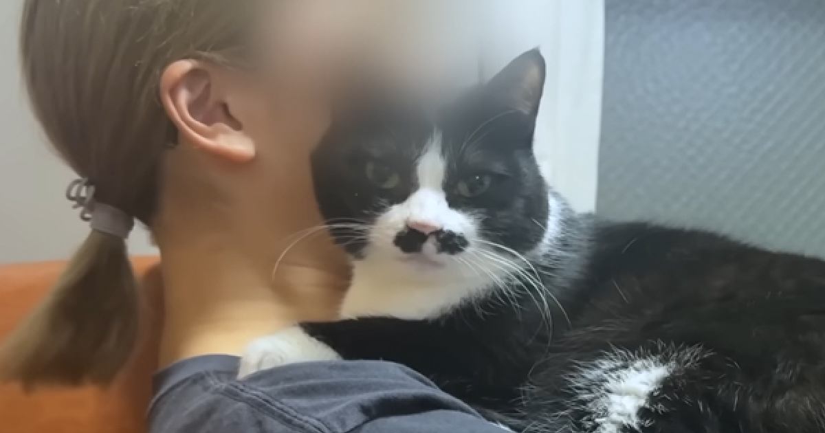 ママにべったりな『超甘えん坊猫』→パパにくっつかれると…想像を超える『態度の差』に爆笑する人が続出「涙が止まらんｗ」「極端すぎてｗ」