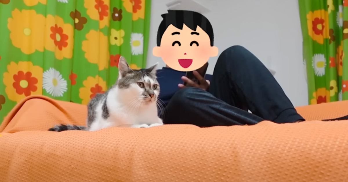 『ママ不在の日』に……パパには普段『塩対応な猫』が見せた→まさかの行動に「可愛すぎて笑っちゃった」「良かったねｗ」と10万再生の反響
