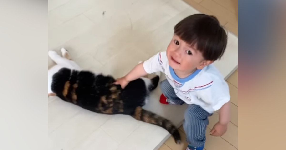 猫をロボット掃除機から守りたい男の子→大慌てでやってきて…微笑ましい光景が71万再生「優しすぎて涙が出た」「温度差がすごいｗ」