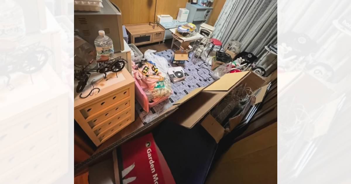『ねこ部屋を作ろう』→床が見えない部屋を片付けてDIYした結果…まさかの光景が感動的すぎると52万再生「凄い天才」「行動力に頭が下がる」