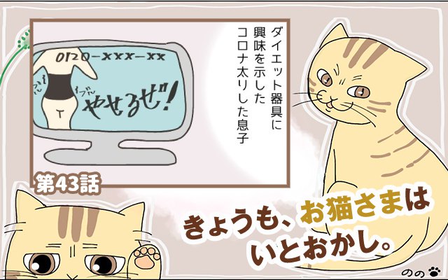 きょうも、お猫さまはいとをかし。【第43話】「万能ゴロゴロ音」