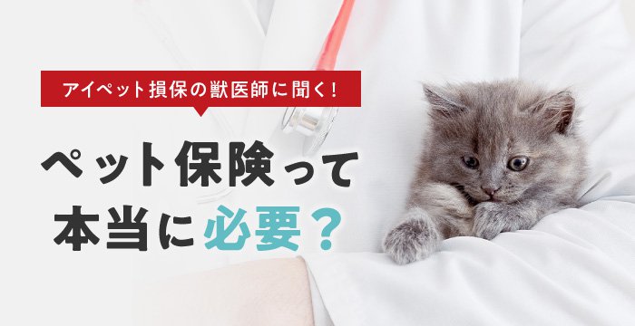 アイペット損保の獣医師に聞く！ペット保険って本当に必要？