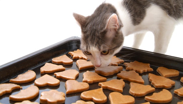 可愛い猫のクッキーを販売しているおすすめのスイーツ店５選