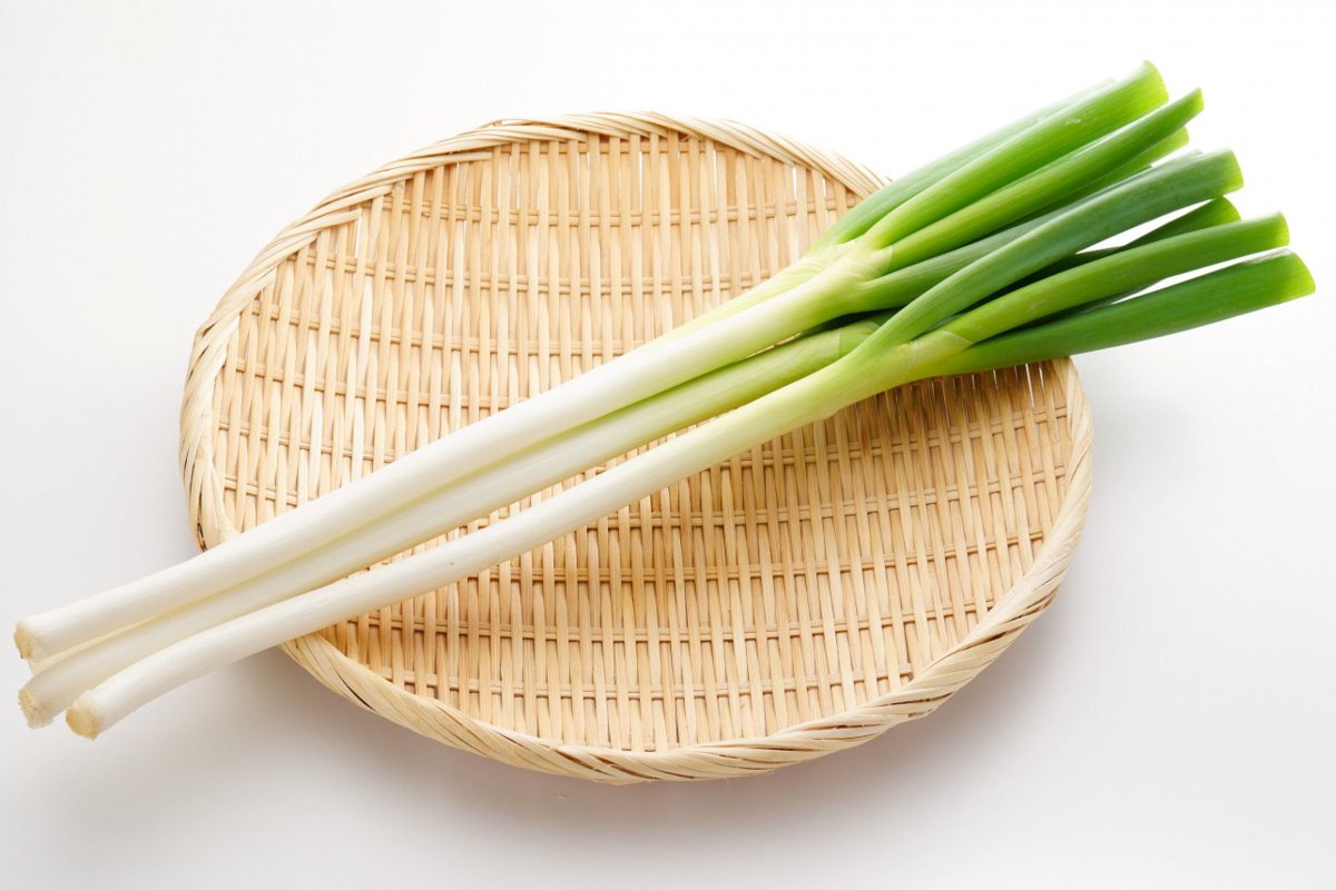 【獣医師監修】猫がネギを食べるのは絶対NG！少量でも危険な理由から誤食時の対処法まで徹底解説