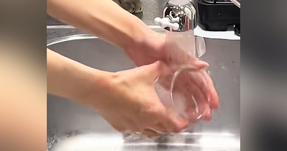 洗い物をしていると、そばにやってきた猫→真剣な表情でじっと見つめてきて…可愛すぎる行動に「一緒にいたいんだねｗ」「品質管理かなｗ」の声