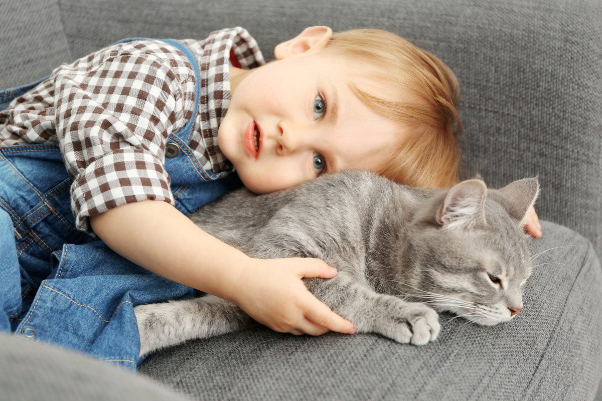 うちの愛猫は『あまり怒らない』けど大丈夫？温厚な性格の猫が秘めている心理3選