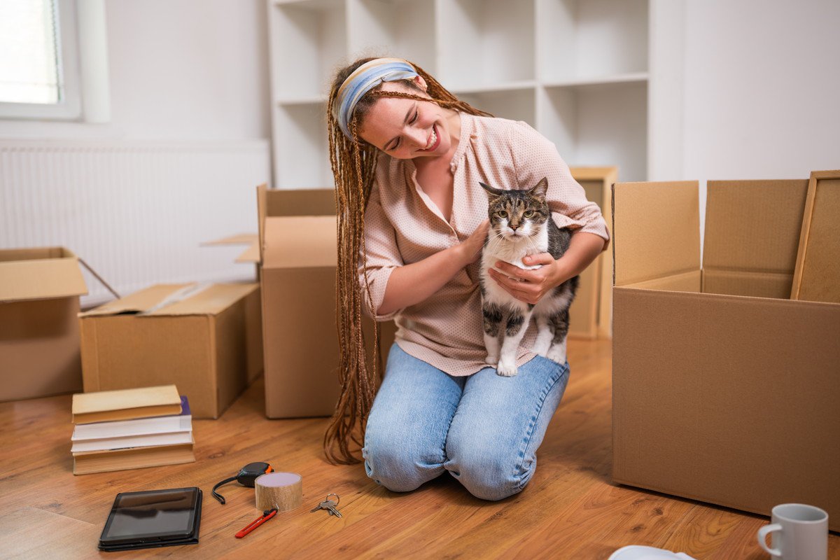 猫が『環境の変化』を苦手とする理由3つ　習性などの原因や飼い主ができる工夫まで
