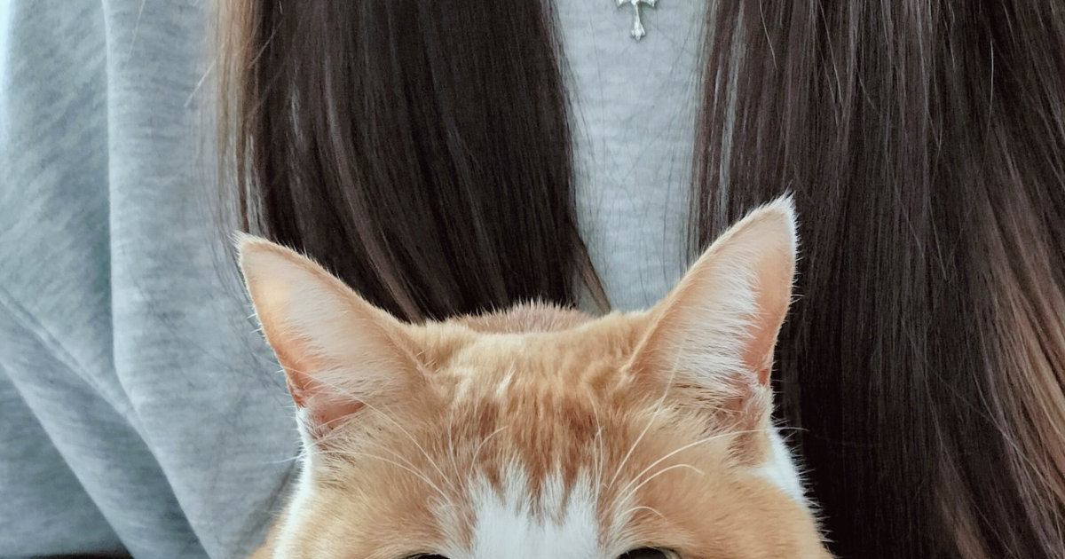 帰省した娘さんに『抱っこされる猫』→表情を見ると……可愛すぎて笑ってしまう瞬間に４万いいね「見てるだけかよって聞こえる」「たまらん」