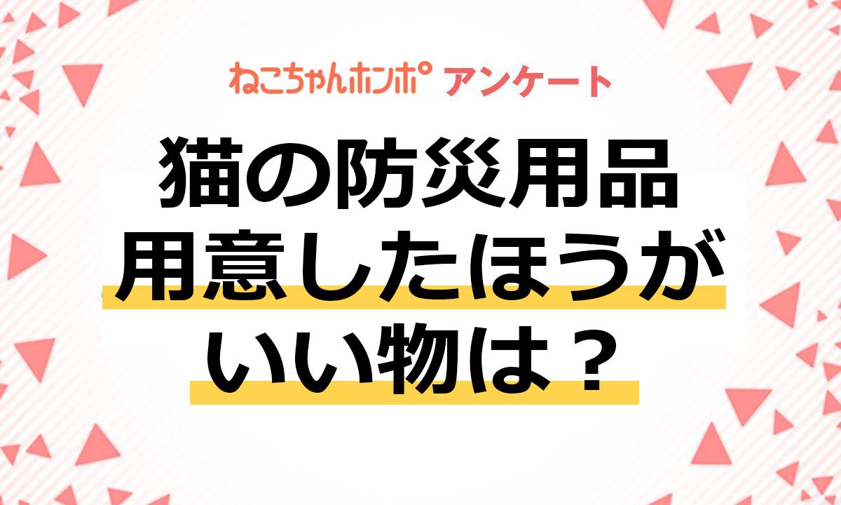 【アンケート実施中！】猫用の防災用品で用意したほうがいい物は？