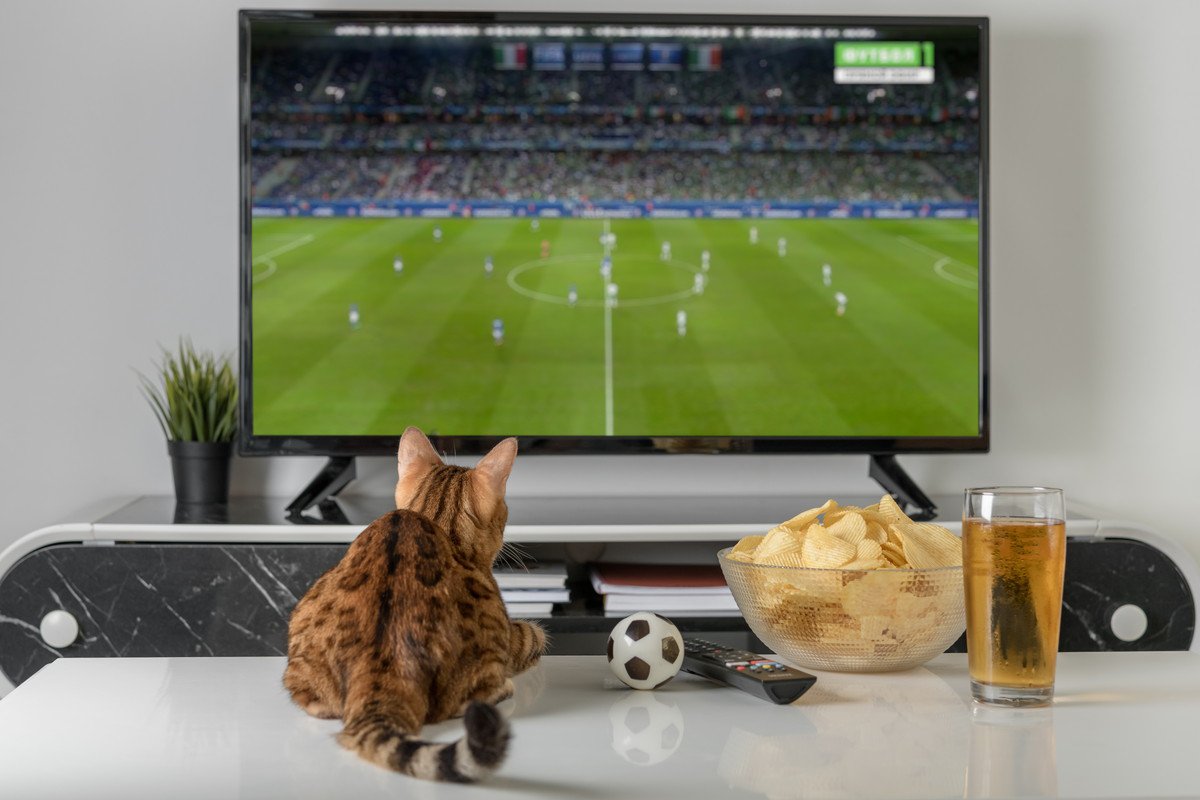 猫の『視覚』にまつわる5つの知識　どのように見えているの？視力や色覚まで解説
