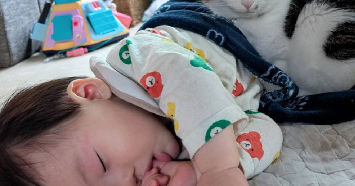 寝ている赤ちゃんを見てみたら、そばで『2匹の猫』が…まさかの『可愛すぎる光景』が33万表示「可愛いが大渋滞」「幸せ詰まりすぎ」
