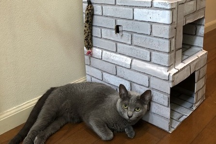 100円ショップのリメイクシートでおしゃれに！ダンボールで作る『猫の三階建てハウス』