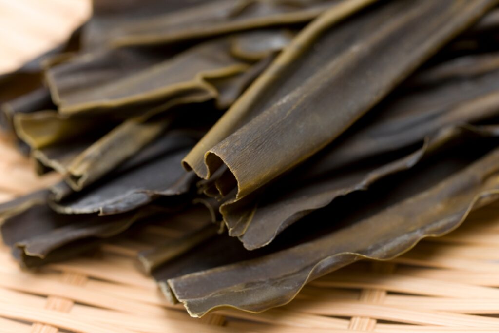 【獣医師監修】猫は昆布を食べても大丈夫？栄養素の効果から与える際の注意点まで徹底解説