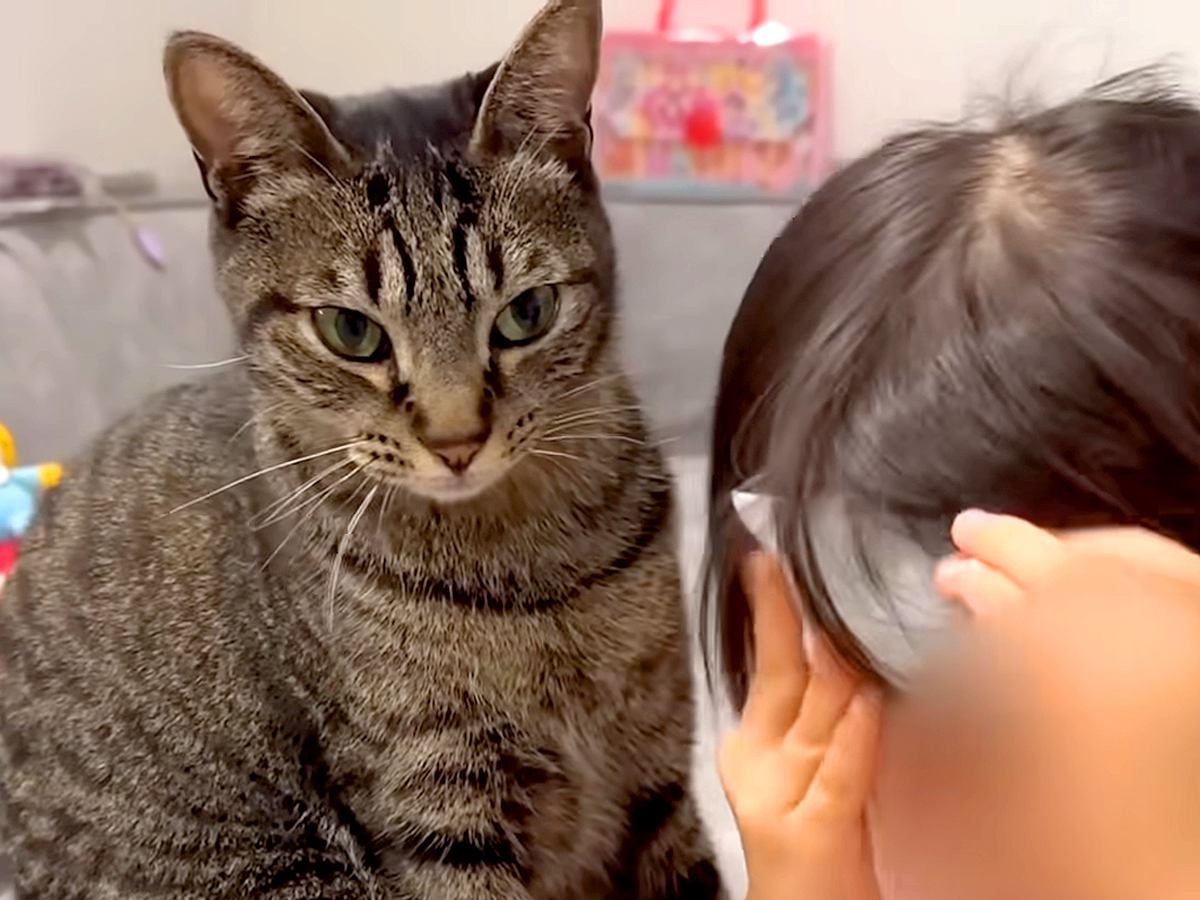 熱が出てつらそうな６歳の女の子→ネコがそばに寄り添い続けて…『家族愛にあふれた光景』に絶賛「健気さに泣けてくる」「本当の姉妹みたい」