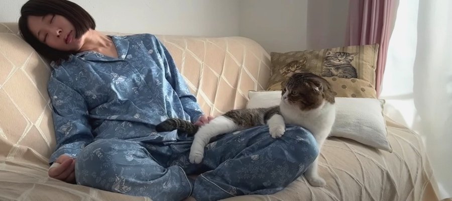 何をしたの？二度寝した飼い主さんを目覚めさせた猫さん！