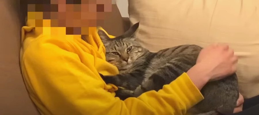 元保護猫きょうだいが地震にびっくり！　飼い主さんに抱きつく兄猫を見た弟猫は…