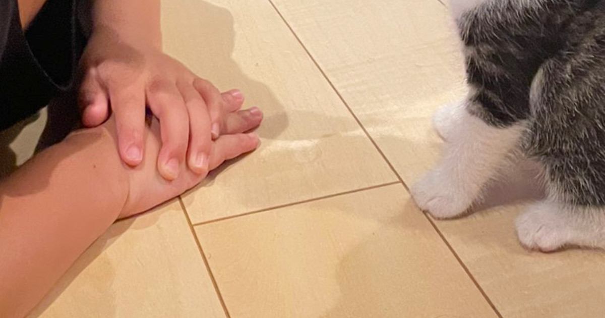 保育園から帰ってきた男の子→子猫のもとへ向かうと…『尊すぎる光景』に14万いいね「なんか知らんけど泣きそう」「幸せが詰まってる」