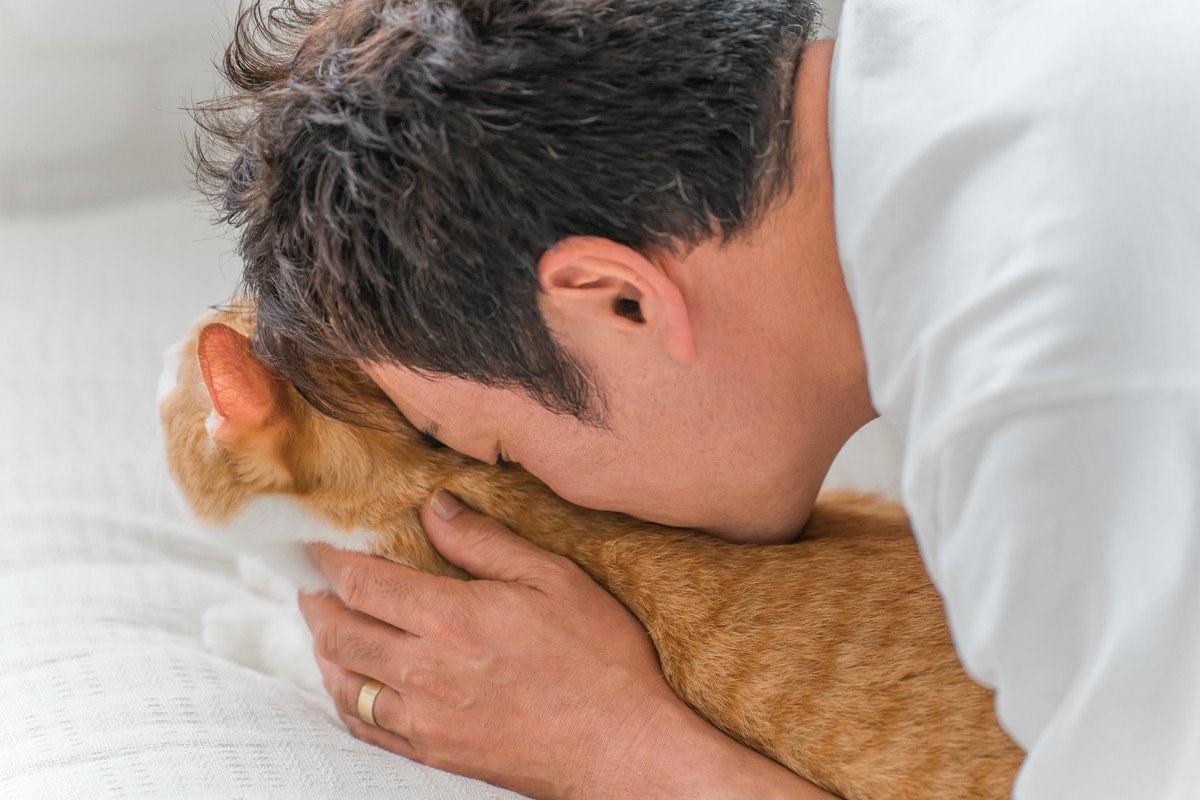 『猫吸い』をするなら守るべきこと3選　愛猫はどんな気持ちなの？注意したいリスクも解説