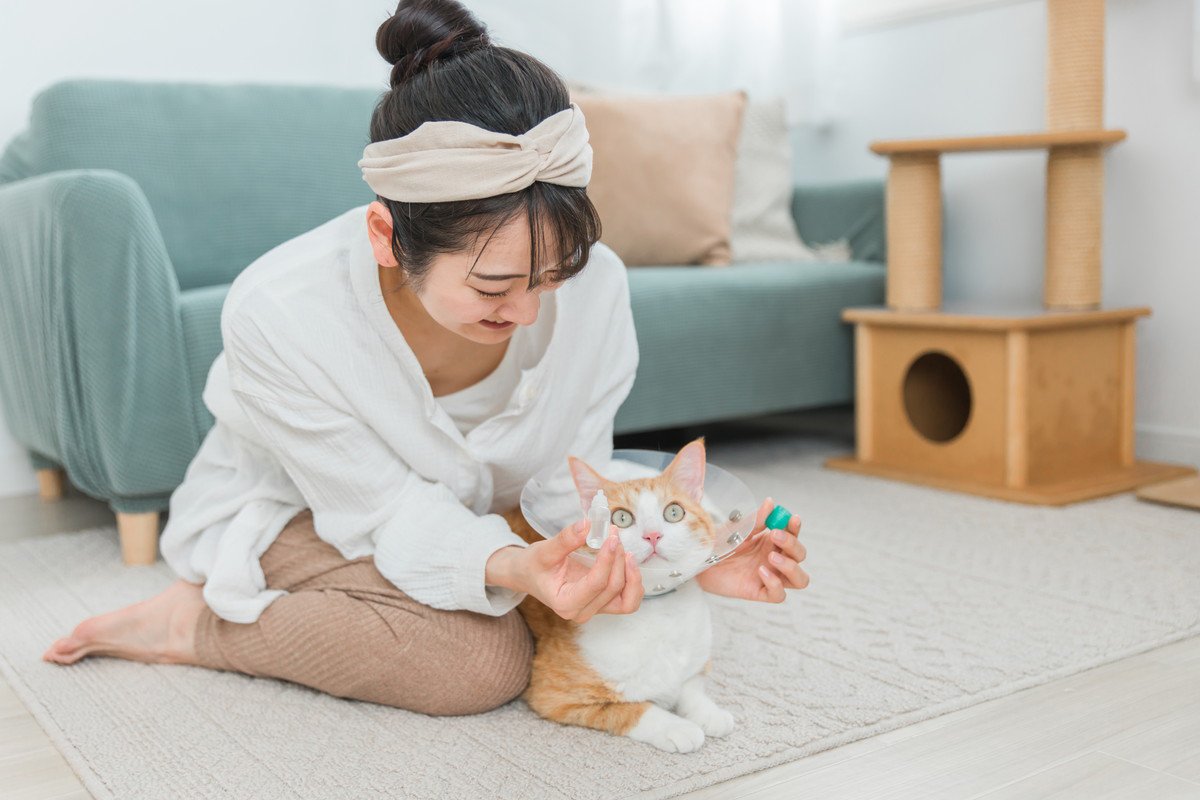 猫の『介護』が必要になるタイミング4つ　体に起こりうる変化や必要になるケアとは