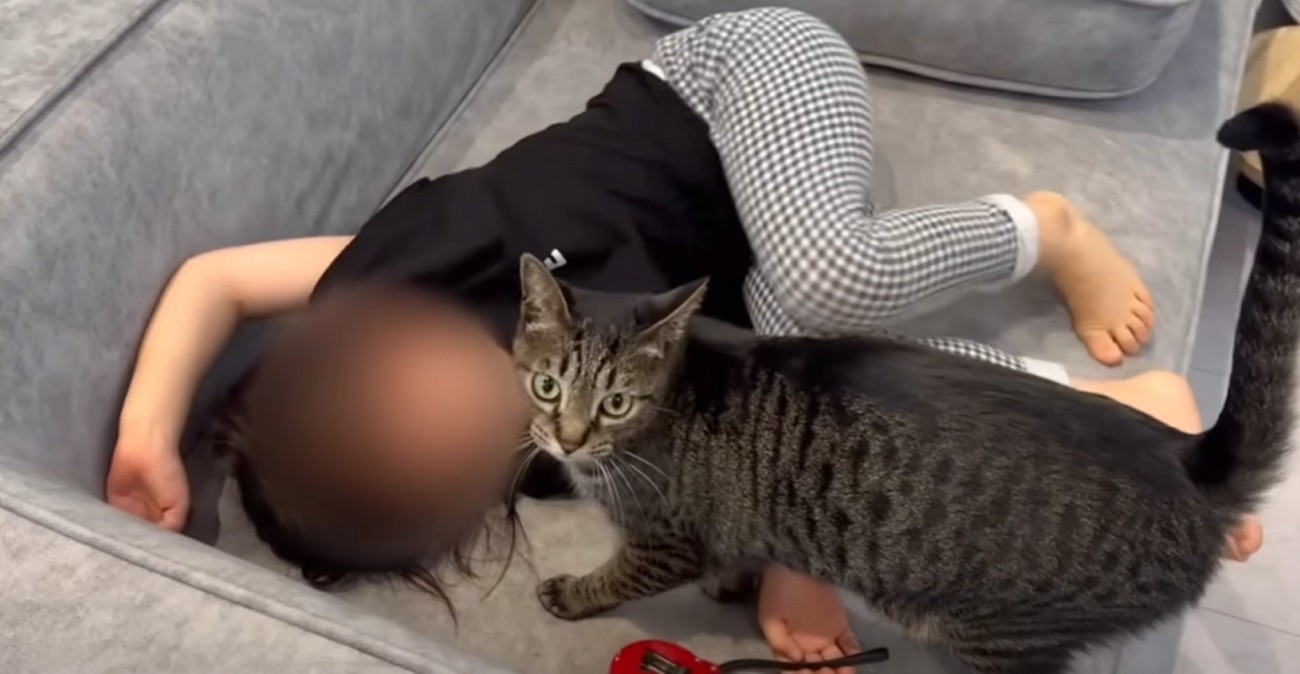 疲れて帰ってきた女の子に、優しい猫が…まさかの『尊い光景』に感動する人が続出「目頭が熱くなる」「絆に泣きそうになった」と13万再生