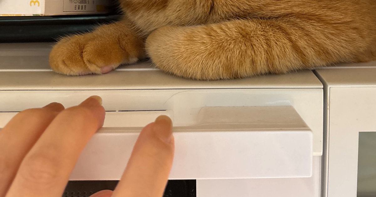 レンジの上に乗った猫を降ろそうとする飼い主→よく見ると…『まさかの光景』に「いたーｗ」「見上げちゃってる」と反響