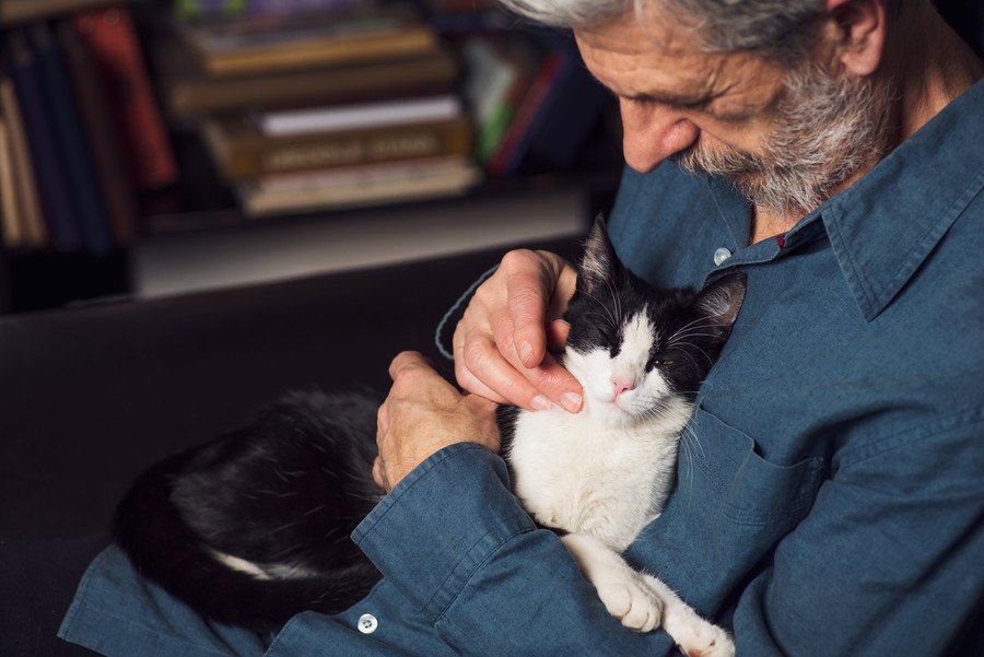 猫の老後に備えておきたい『介護用品』９つ