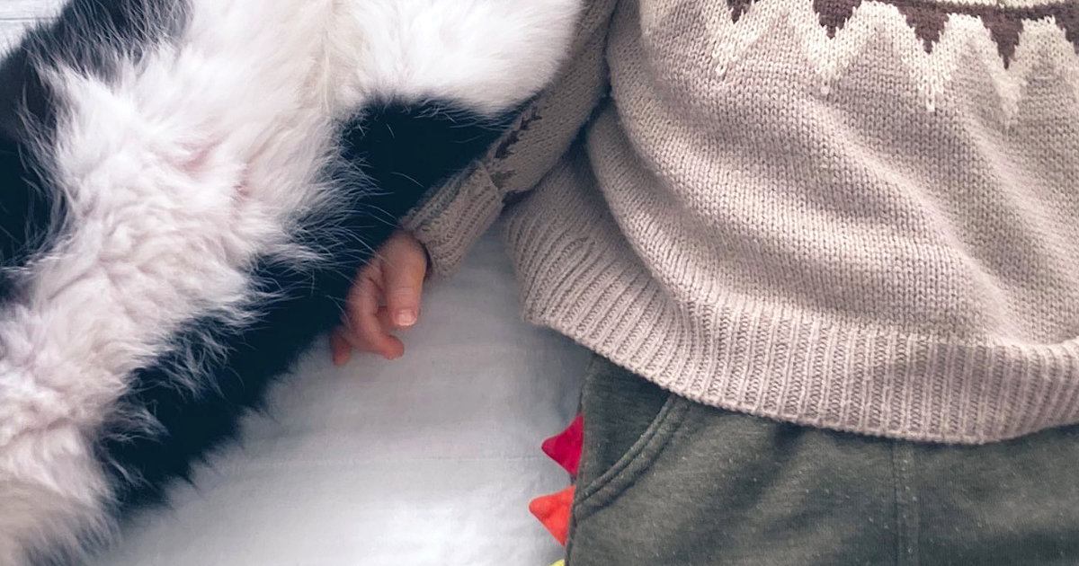 気持ちよさそうに眠っていた『赤ちゃん』→猫が『添い寝』しにきた結果…とんでもない光景に「想像していたのと違うｗ」「蹴りｗ」と４万いいね