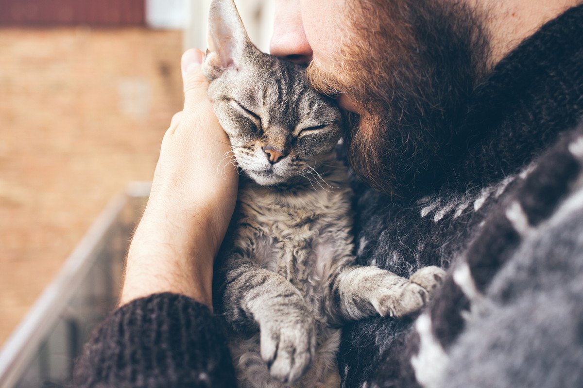 猫が死ぬ直前に想う『飼い主への伝言』5つ　看取りのときを迎えたら、精一杯の愛情を込めて