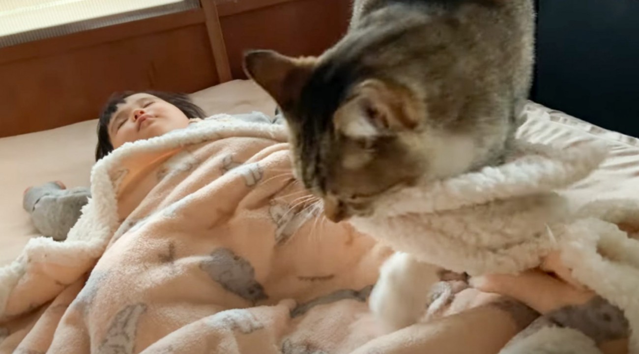 眠っている赤ちゃんに近づいた猫が……あまりにも微笑ましい『心温まる光景』に「とてもかわいい」「匂いが心地いいんだろうね」の声