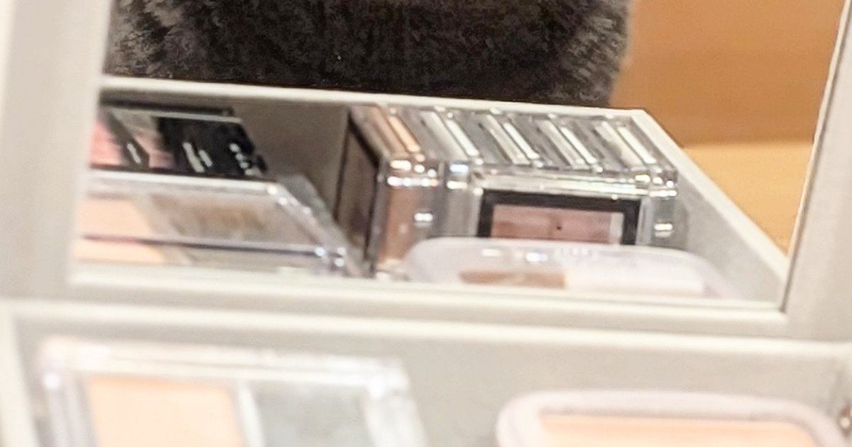 『メイクボックス』を置いたら、『猫』がやってきて…可愛すぎる『まさかの瞬間』に４万いいね「お顔が最高ｗ」「メイクしなくても可愛いｗ」