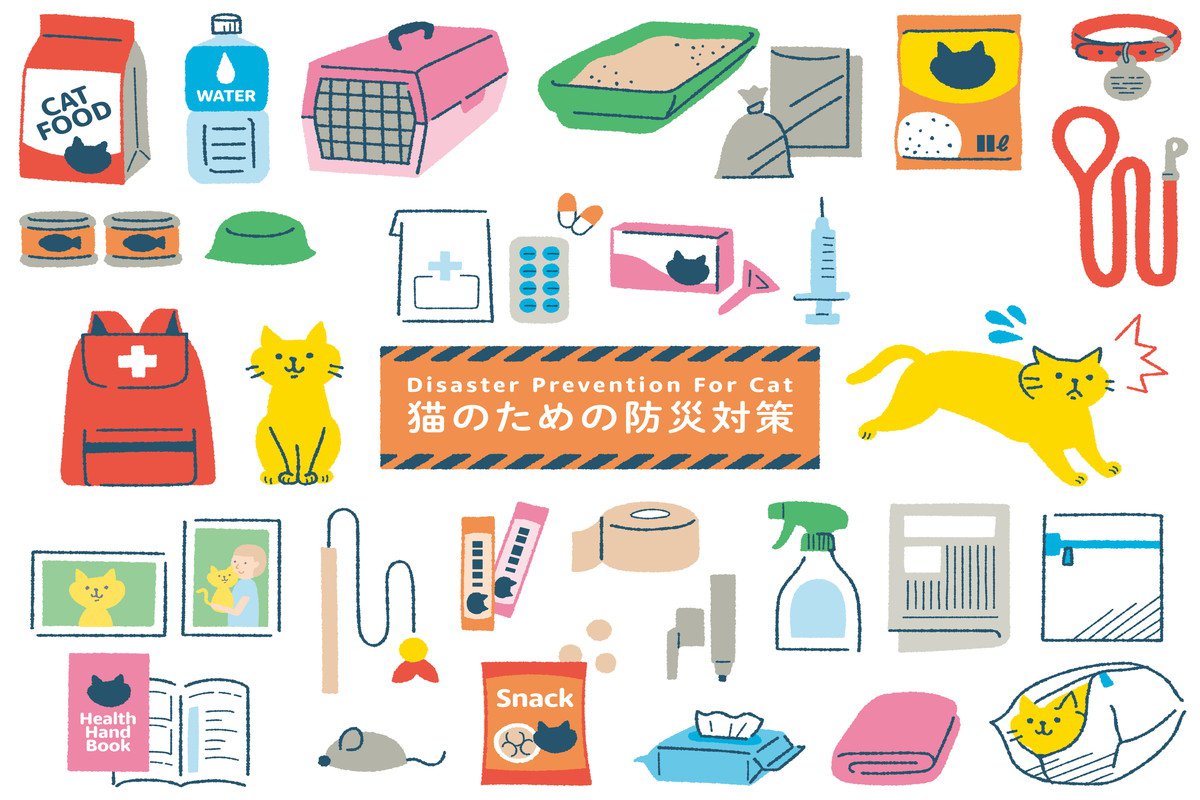 災害時に役立つ『猫のローリングストック』とは？もしもの事態に備えておきたいモノまで