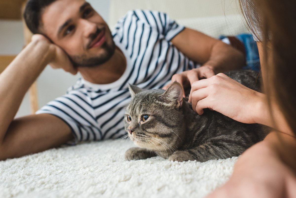 コロナ禍に突然現れ、最高の家族になった猫　実は『自らの死を偽装』していた！　