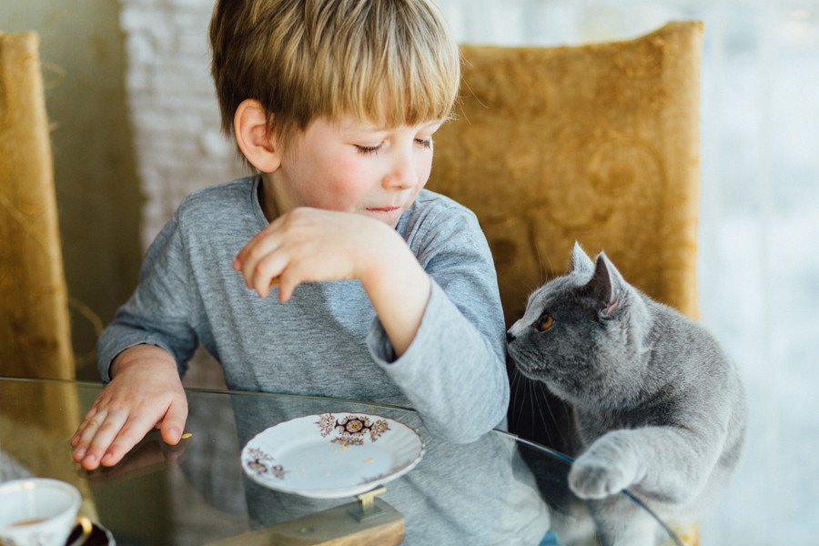 猫が飼い主の『浮気』を察知した時にする仕草や行動６つ