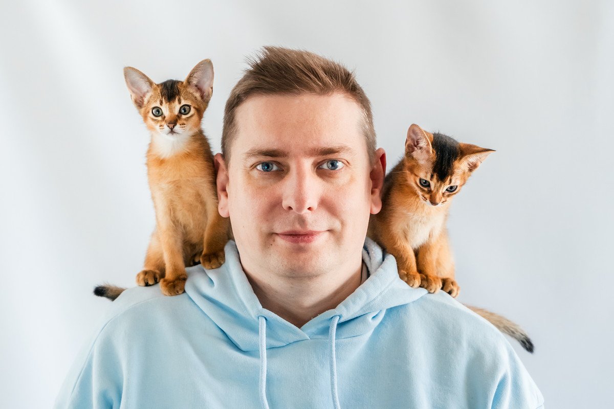愛猫があなたの『肩に乗りたがる』3つの理由　甘えている？それとも踏み台代わり？？