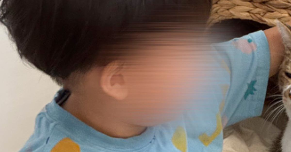 2歳児に頭をなでられている猫→『表情』を見てみたら…幸せあふれる『尊い瞬間』に5万いいねの反響「なんて可愛さ」「ほほえましい」