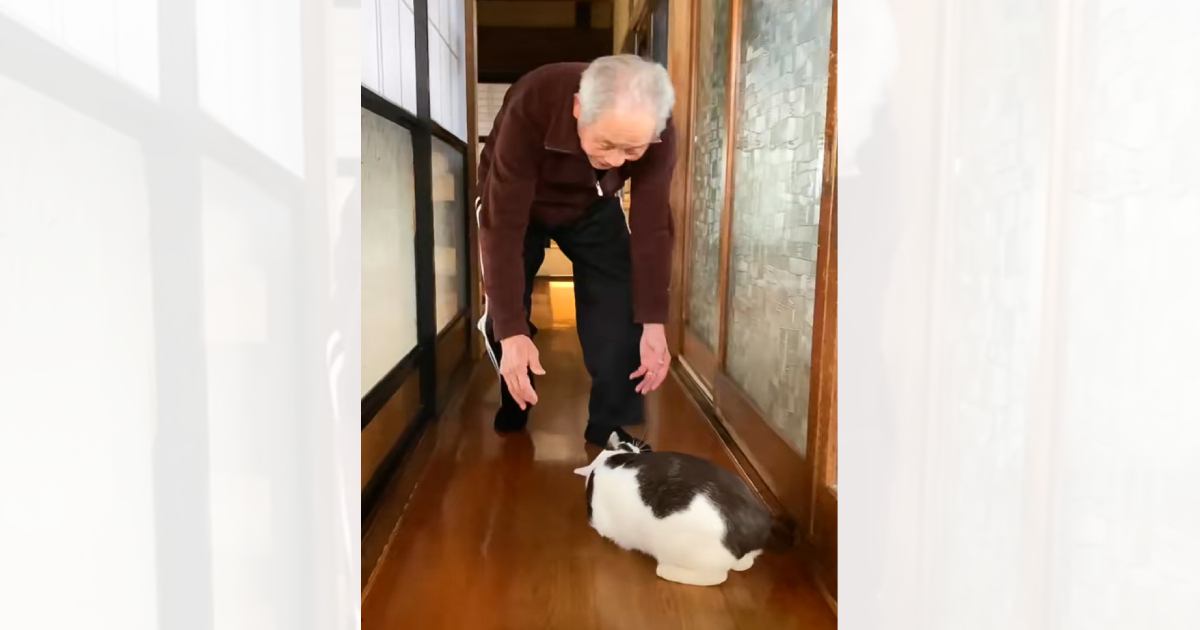 床に座り込んだ『猫』→気づいた『おじいちゃん』が声をかけて…思わず笑みがこぼれる瞬間が123万再生「笑い声が完全に悪魔」「重でぇぇｗ」