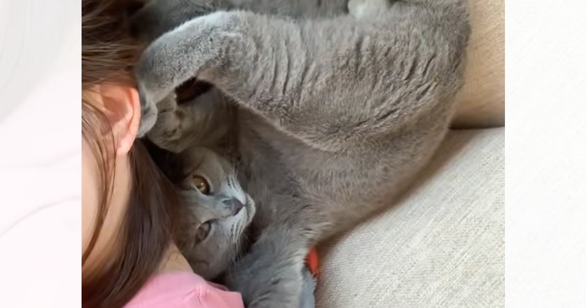 体調不良で寝ていると、猫が近くにやって来て…まさかの『クセが強すぎる看病』に爆笑する人が続出「体勢がすごいｗ」「支えてあげるからな」