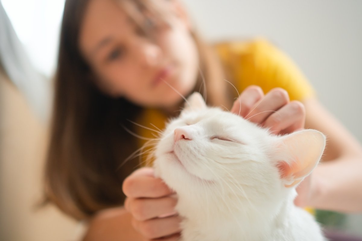 猫が絶対に触られたくない『体の部位』4選　嫌がる理由や正しいスキンシップのコツも解説