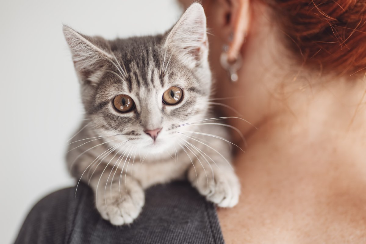 猫と暮らしてから気付く『理想と現実』のギャップ4選　想像以上に大変？飼う前に備えておくべき心得