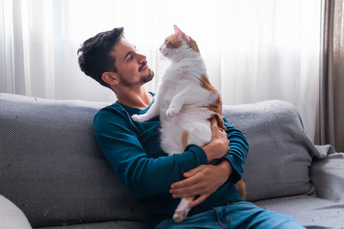 猫へ『愛情をしっかり届ける方法』3選　伝えるメリットや心がけるべきことも