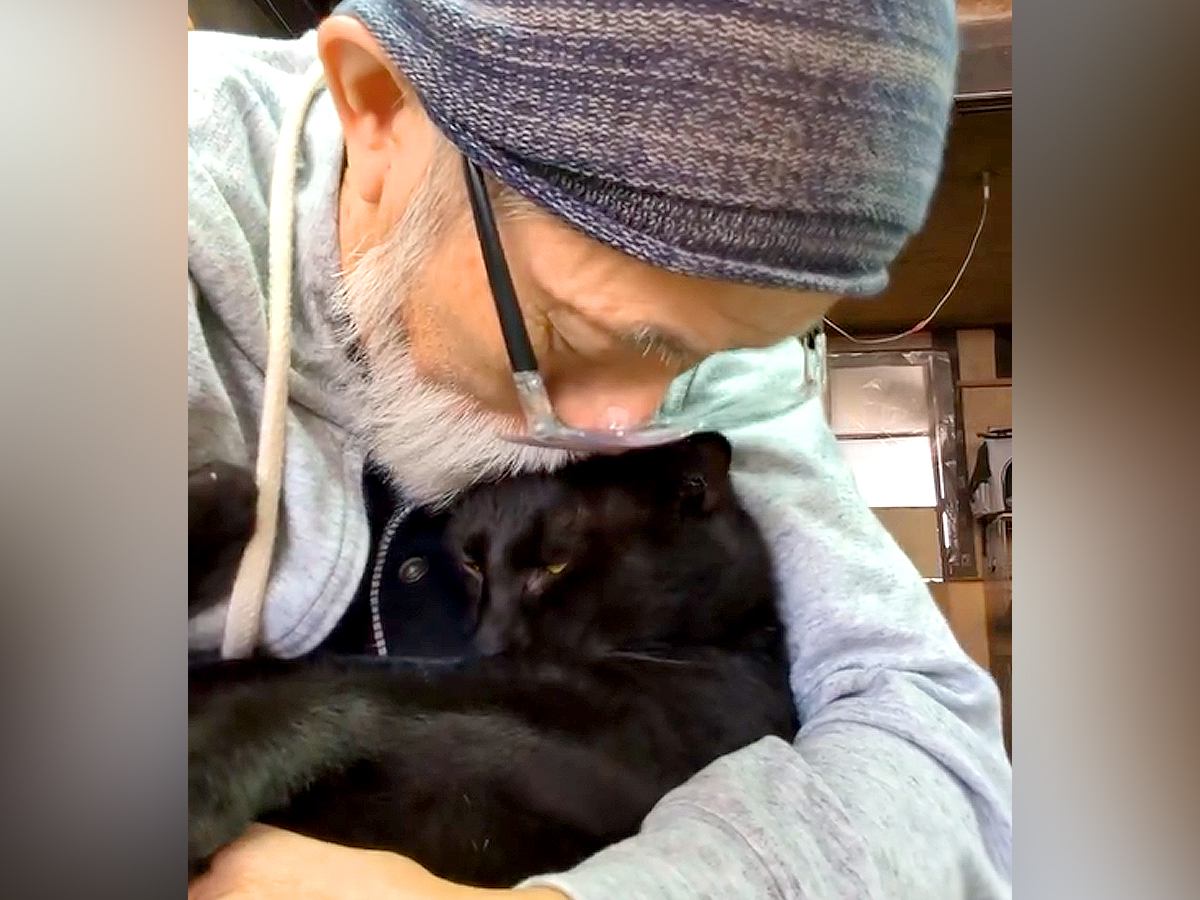 朝、黒猫を抱っこした結果→まるで赤ちゃんのようで…愛にあふれた『幸せなひととき』が72万再生「本当に素敵」「まるでアニメの世界」と話題