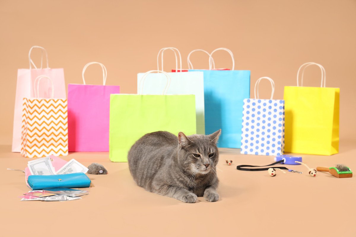 猫の飼い主さんが『買わなきゃよかった…』と後悔しがちな猫アイテム4選