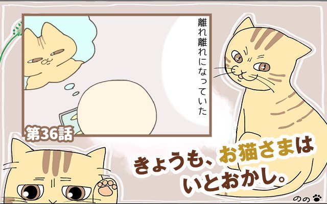 きょうも、お猫さまはいとをかし。【第36話】「離れ離れ」