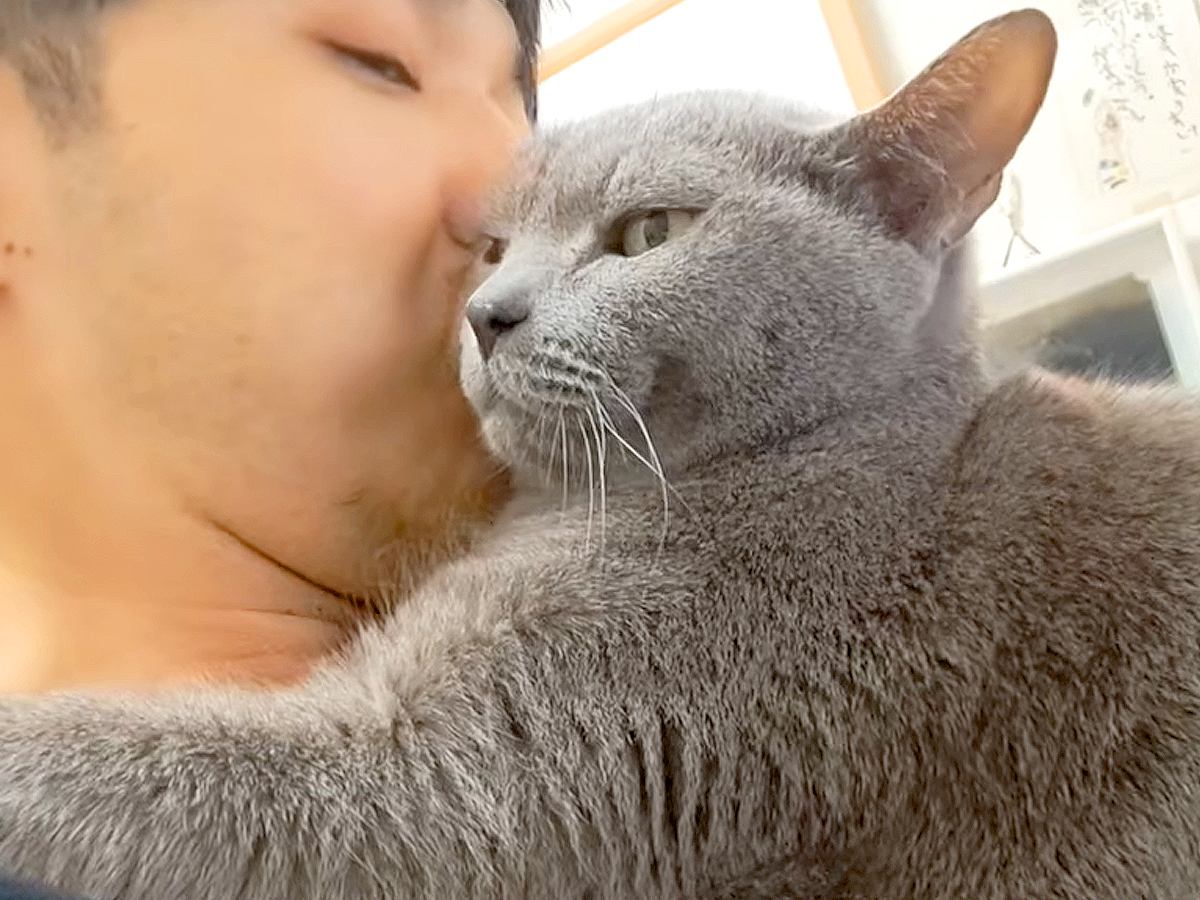 普段は凶暴な猫→オフの時はパパに密着して…意外すぎる『まるで別猫のような様子』に反響「地球上最も激しいツンデレ」「ギャップがたまらん」